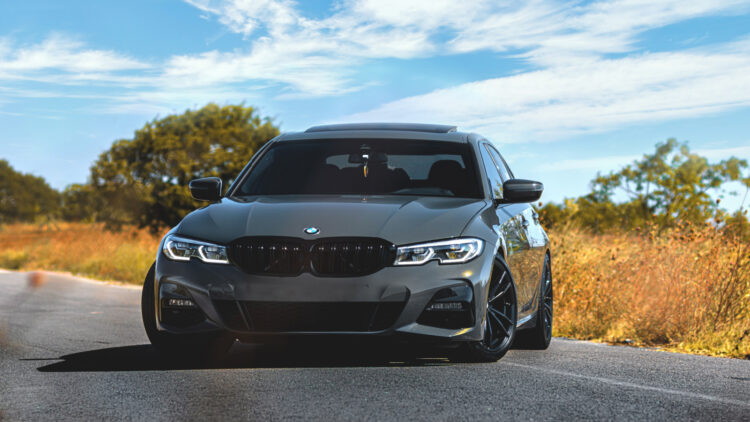 Image Credit: Shutterstock