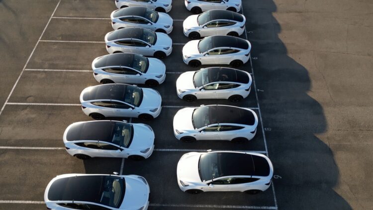 Photo Credit: Shutterstock