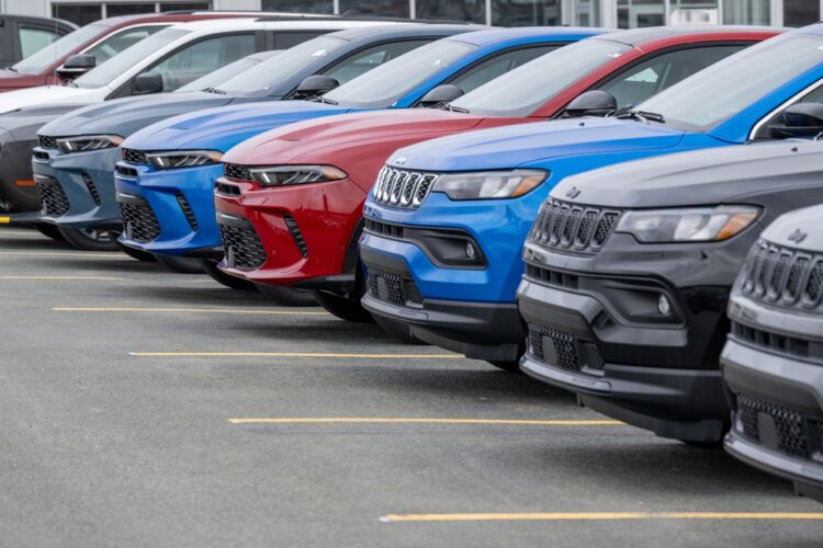 Photo Credit: Shutterstock