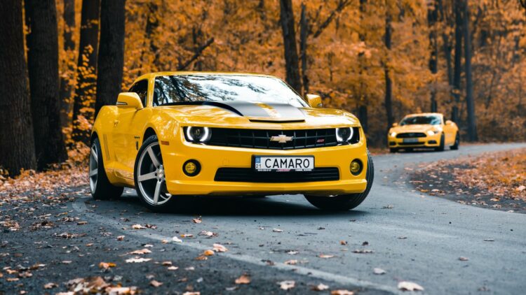 Photo Credit: Shutterstock