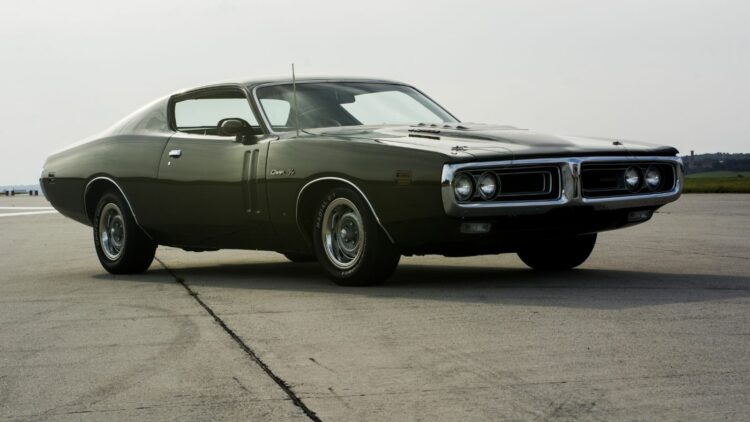 Photo Credit: Shutterstock