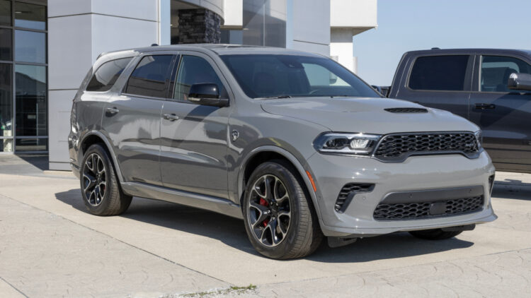 Image Credit: Shutterstock