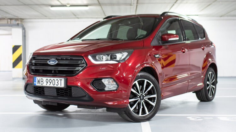 Image Credit: Shutterstock