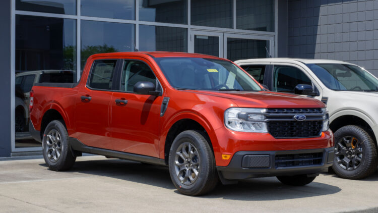 Image Credit: Shutterstock