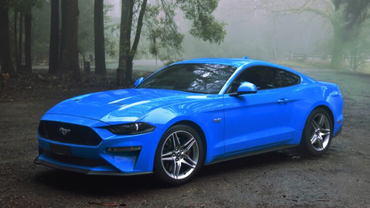 Photo Credit: Shutterstock