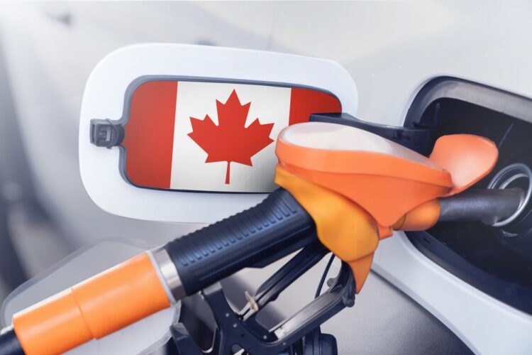 Photo Credit: Shutterstock