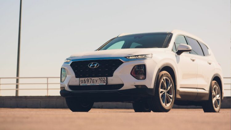 Photo Credit: Shutterstock