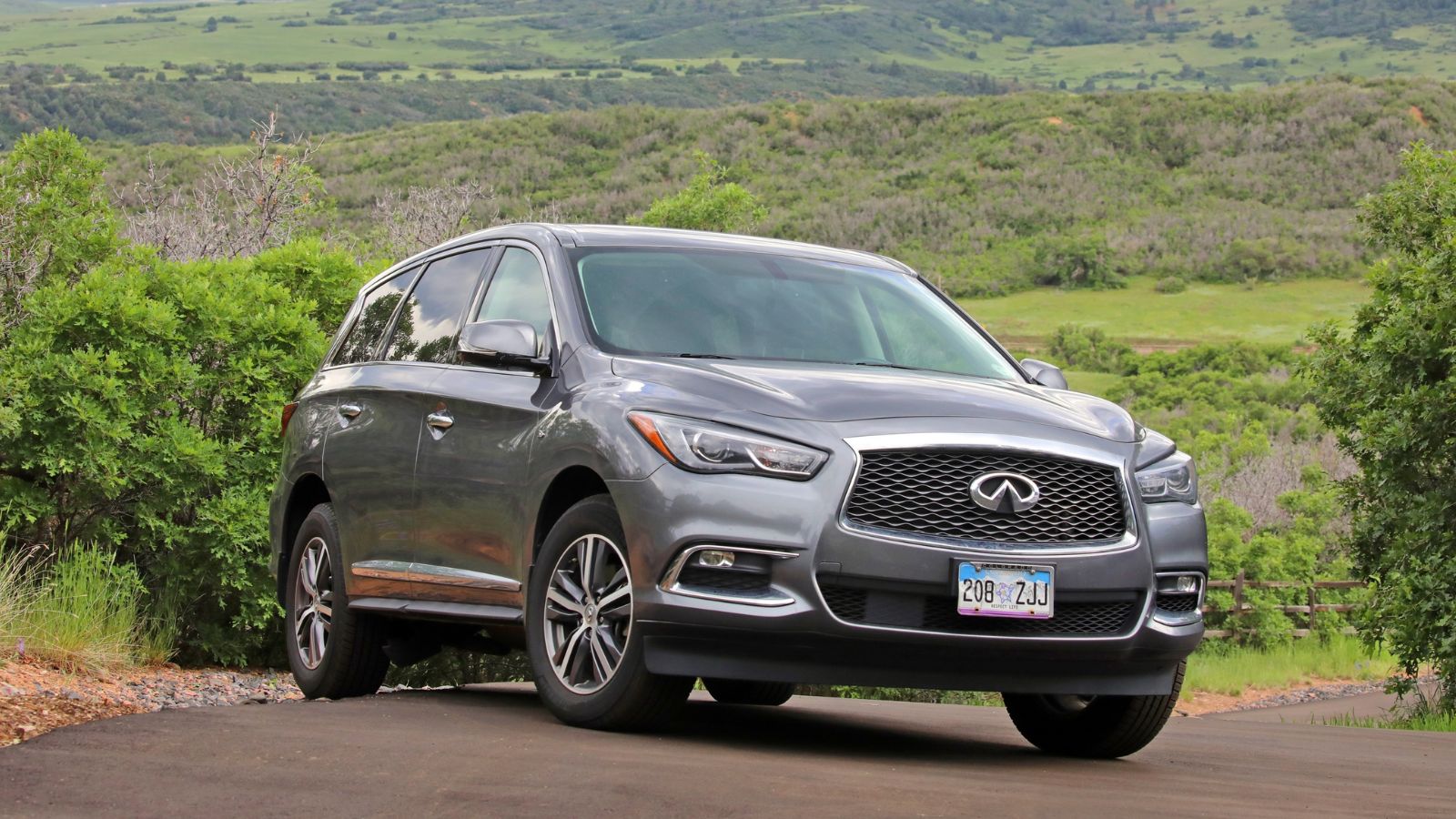 Photo Credit: Shutterstock