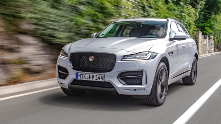 Photo Credit: Shutterstock