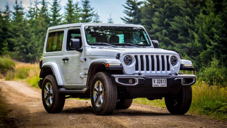 Photo Credit: Shutterstock