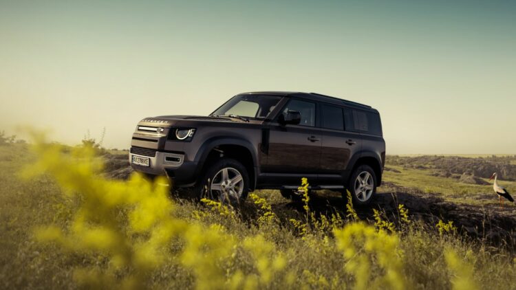 Photo Credit: Shutterstock