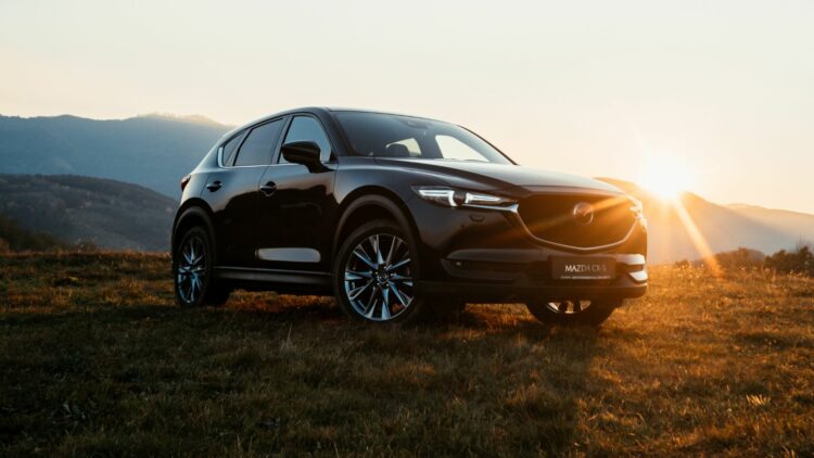 Photo Credit: Shutterstock