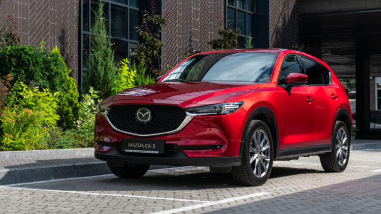 Image Credit: Shutterstock