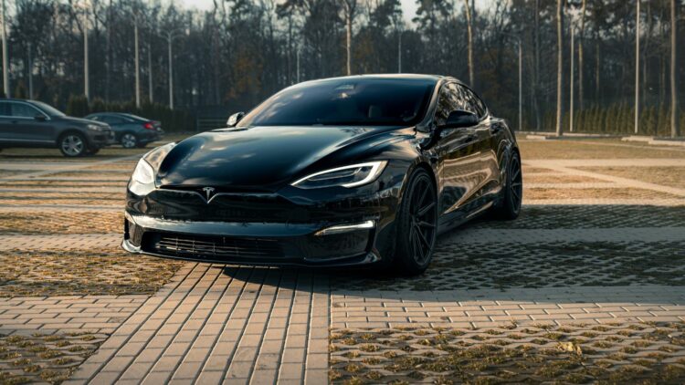 Photo Credit: Shutterstock