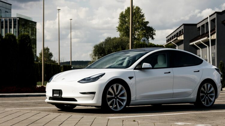 Photo Credit: Shutterstock