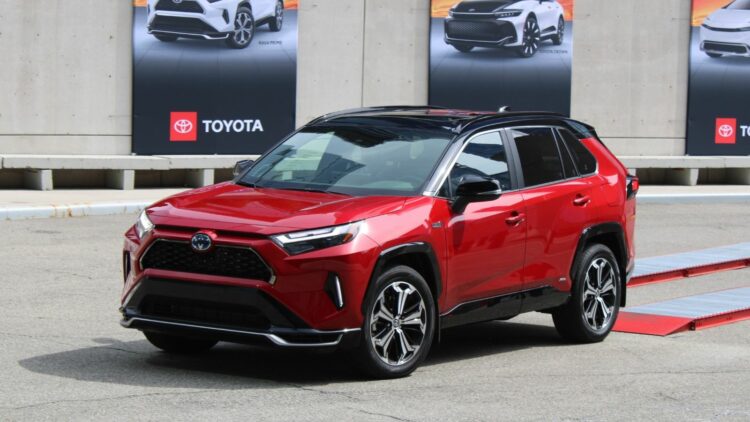 Photo Credit: Shutterstock