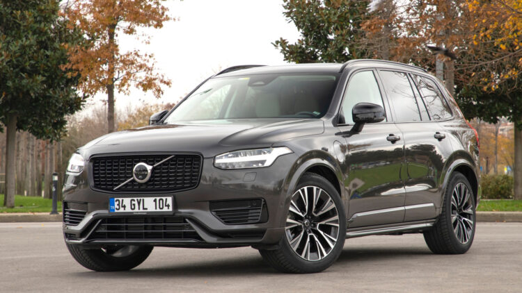 Photo Credit: Shutterstock