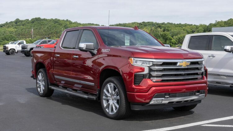 Photo Credit: Shutterstock
