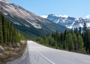 New Alberta Highway Survey Data: 87% of Under-35 Respondents Back 120 km/h — Versus 50% of Those 55